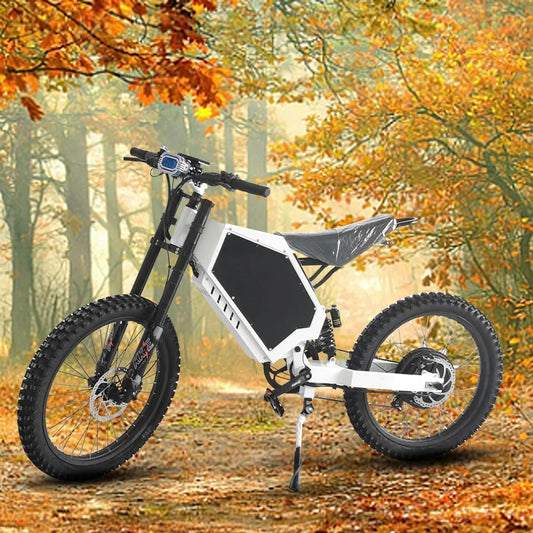 3000w power  electric city bike 48V  20AH Lithium battery