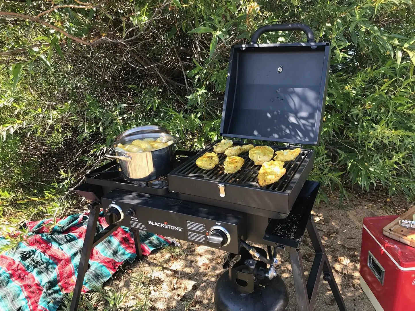 Steel 2 Burner Portable Gas Grill and Griddle Combo Total 35,000 BTUs